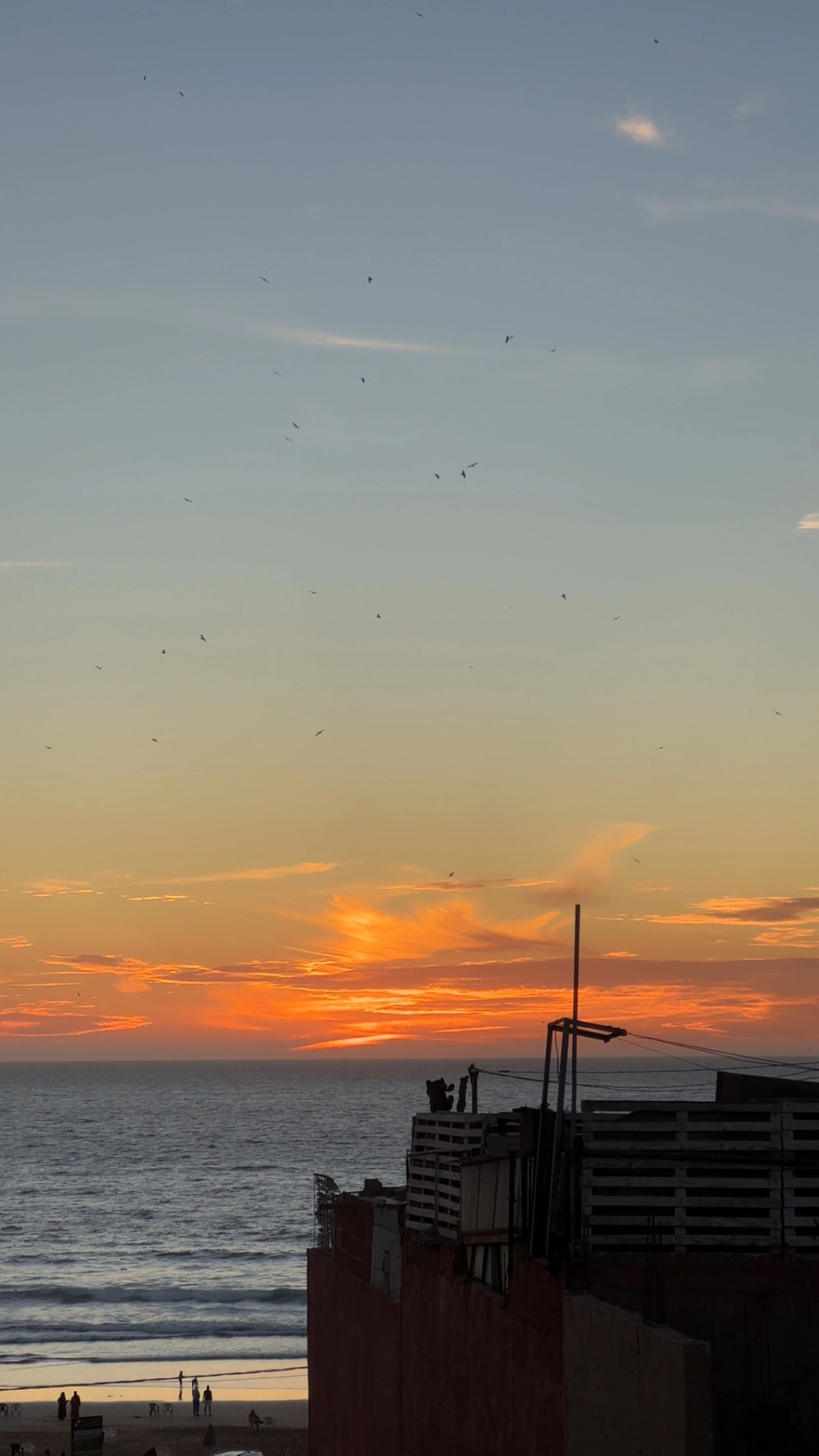 Anza Surf Experience — la maison, le rooftop et les surfeurs